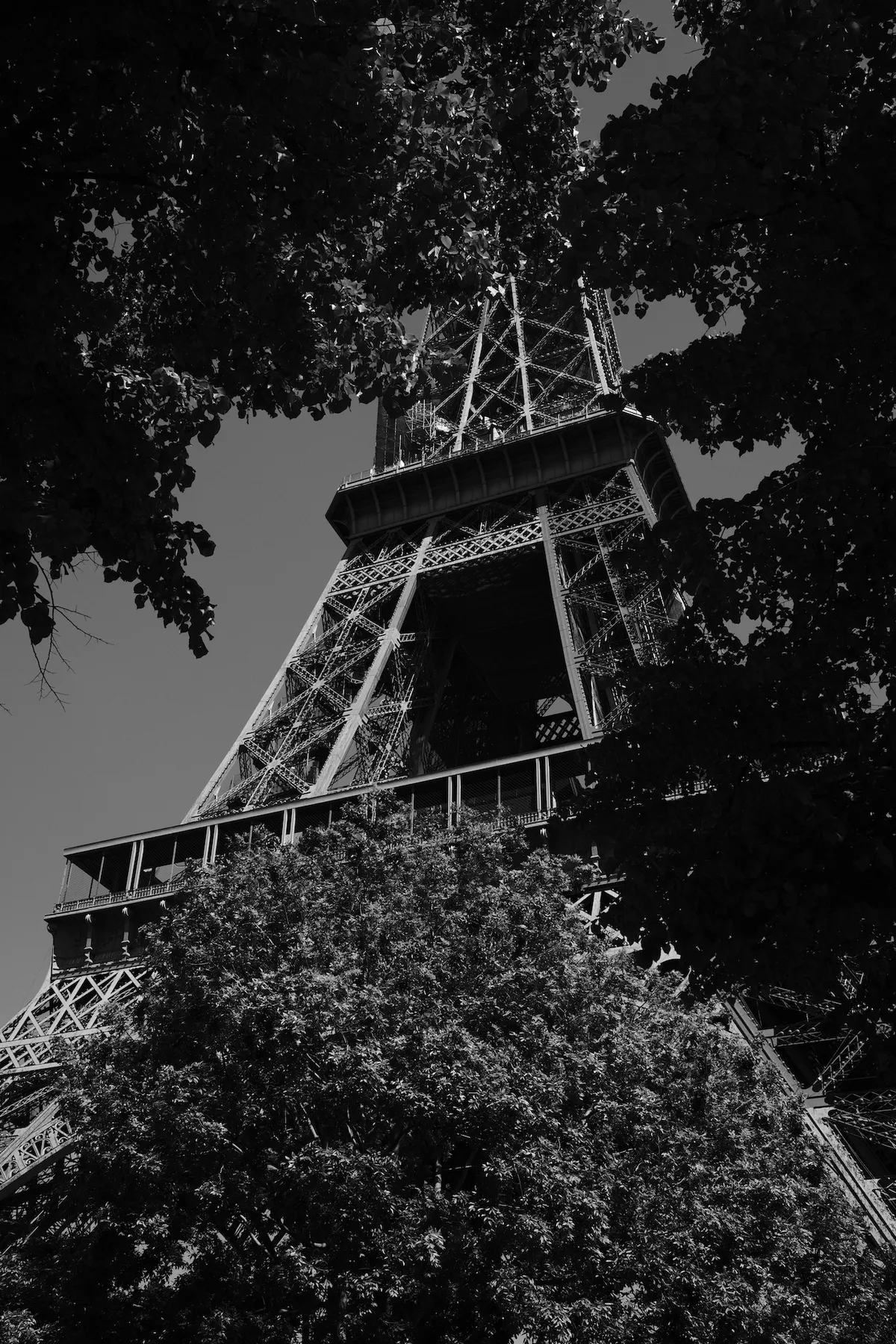 A towering metal structure rises upward, framed by leafy tree branches, against a clear sky, highlighting its intricate lattice design.