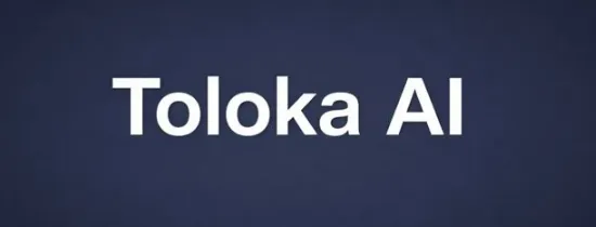 toloka ai