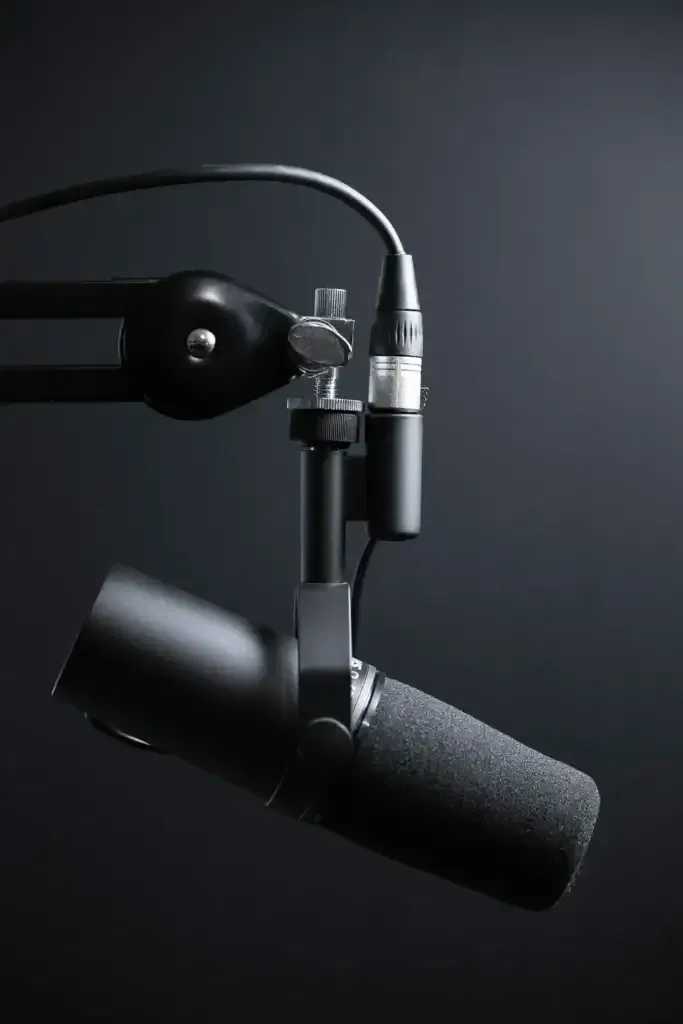 A nice home-studio microphone on a boom arm
