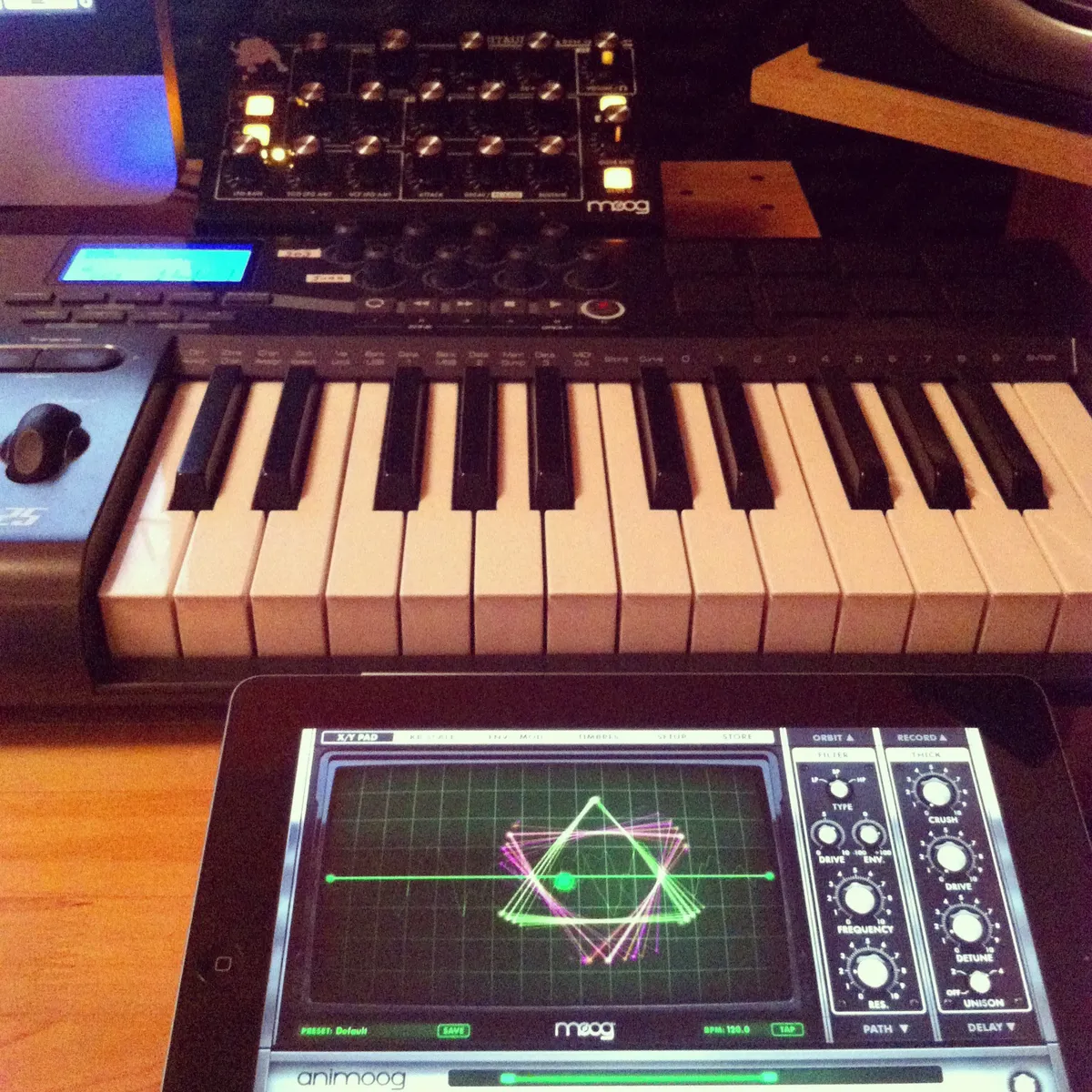 Animoog