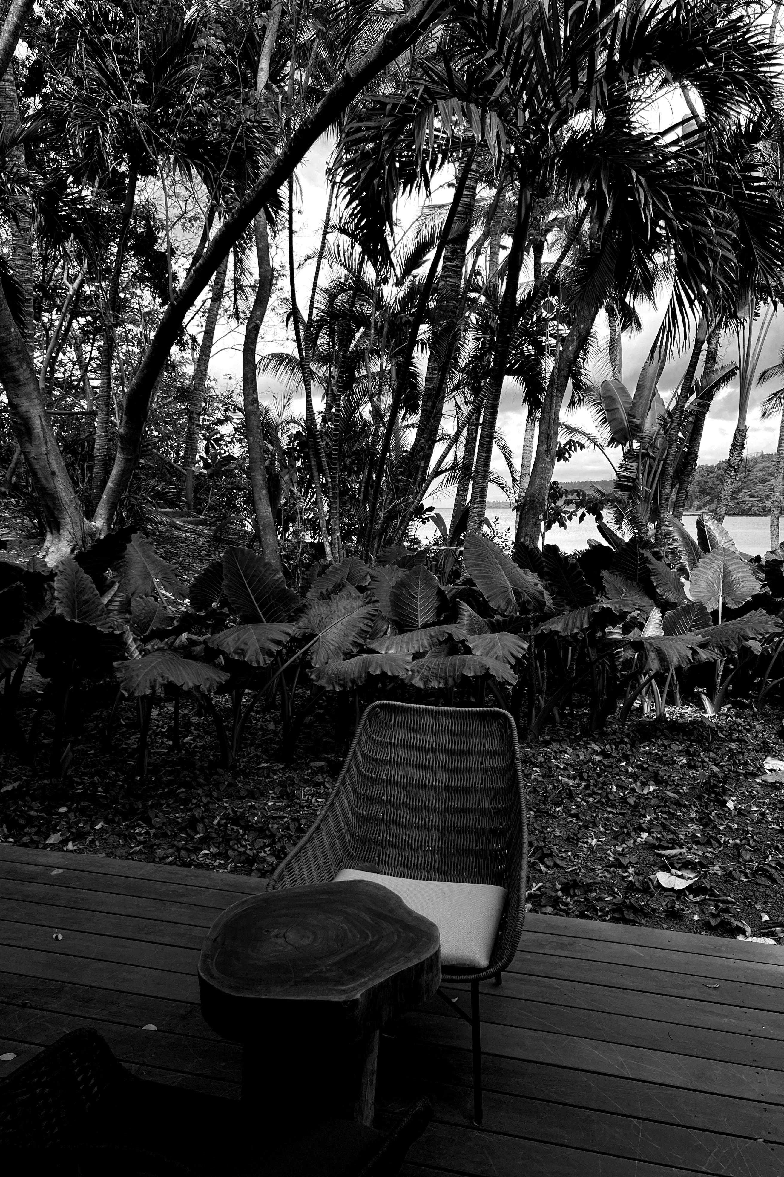 Chair and table, in the jungle.
