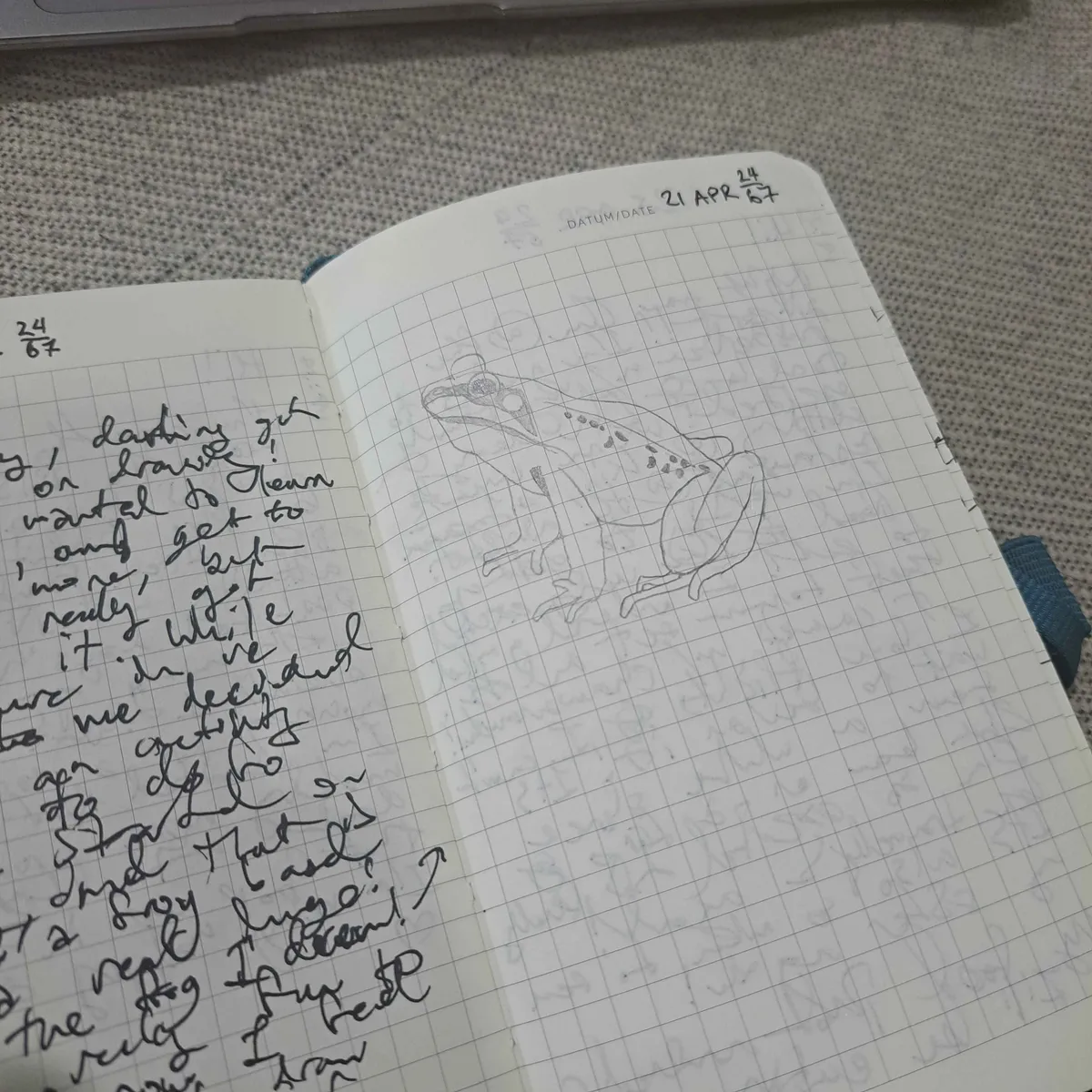 20241206_110534
