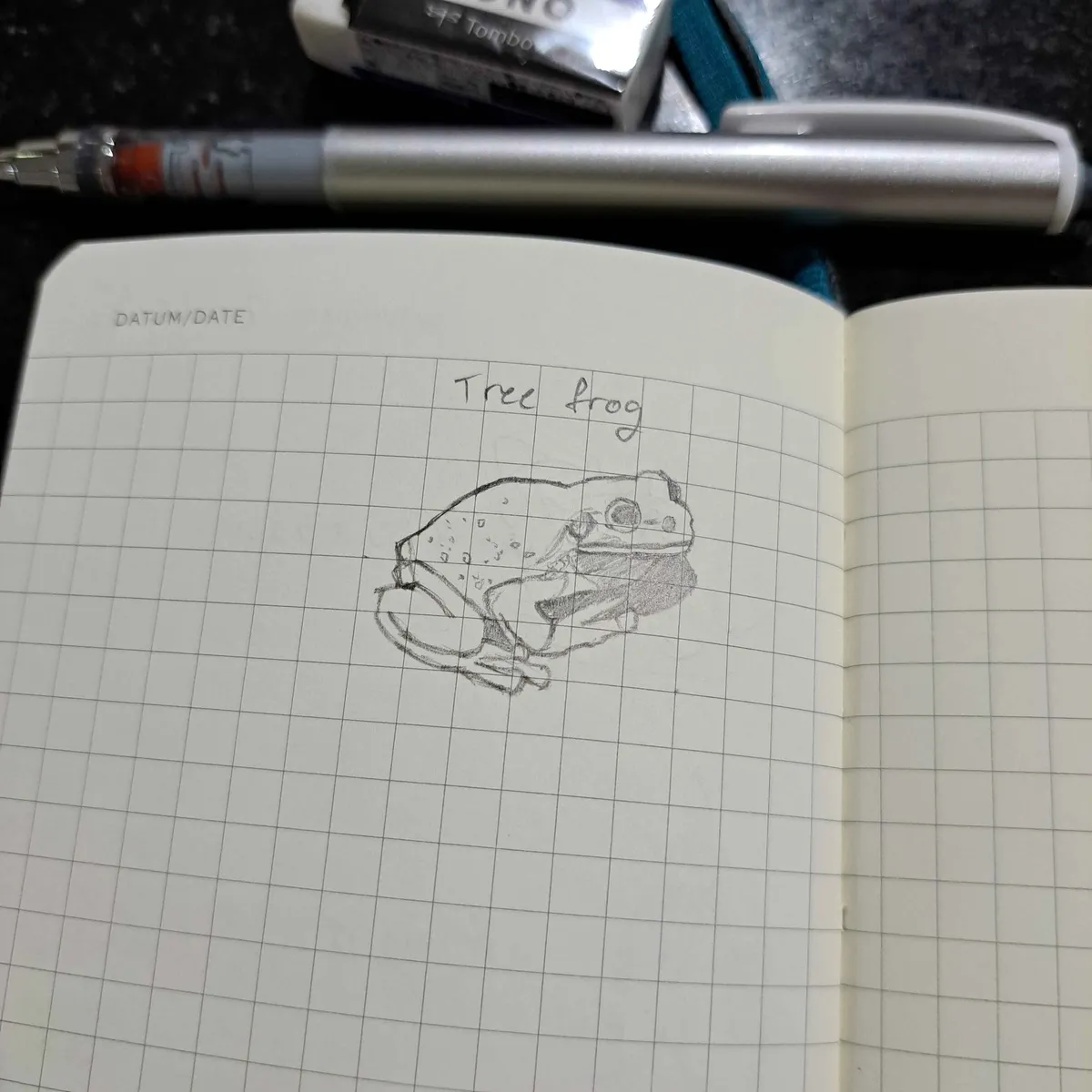 20241209_203003