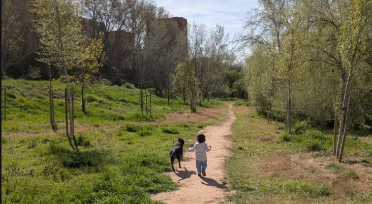 Captura desde 2026-03-29 16-45-53