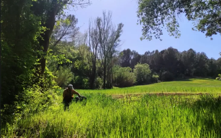 Captura desde 2026-04-03 17-36-41