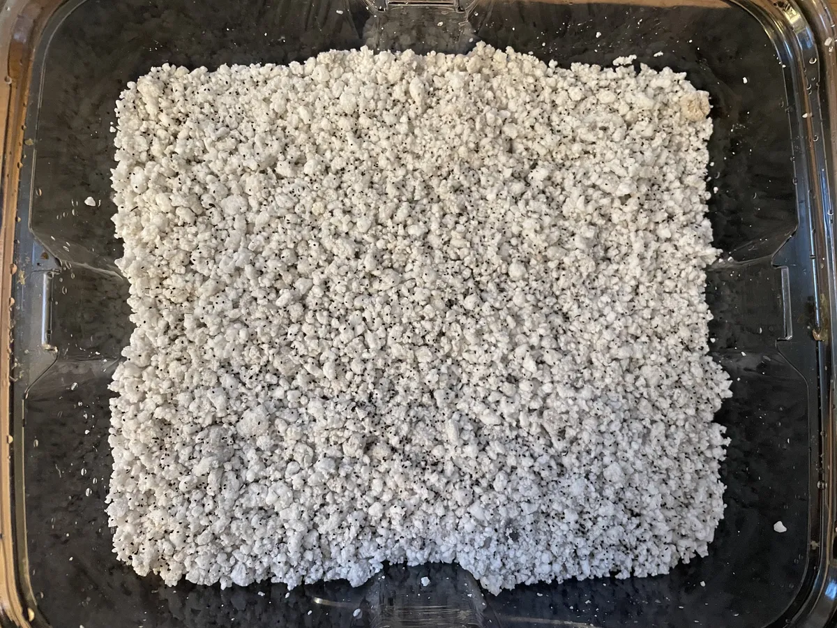 Plastic Container with Perlite and Seeds_1