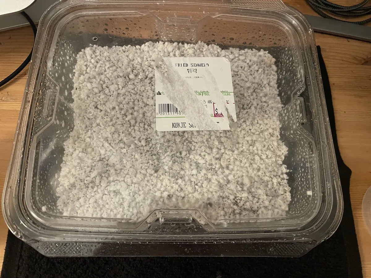 Seeded container with lid on top_1