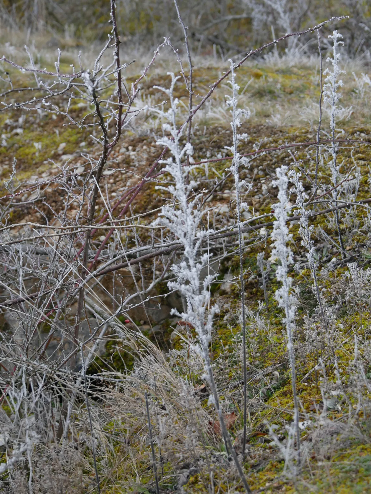 P1130441