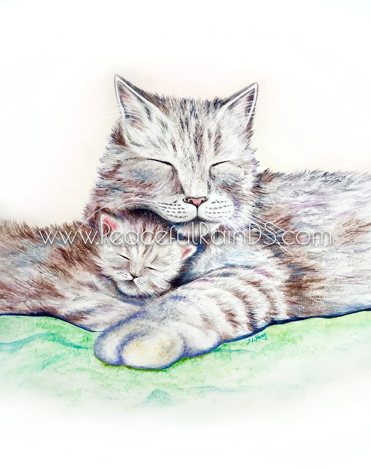 Cuddling Cats
