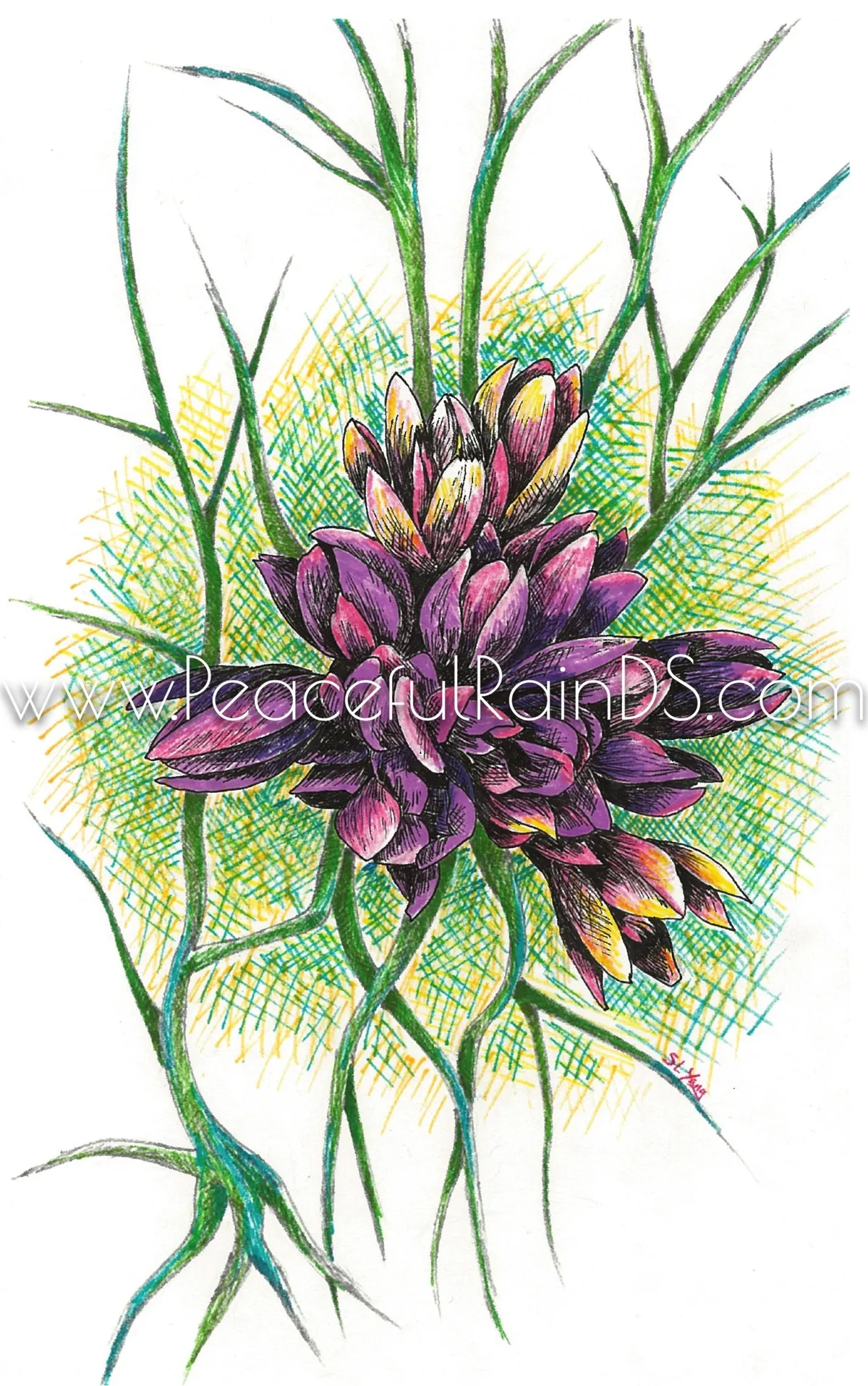 Floral Cluster