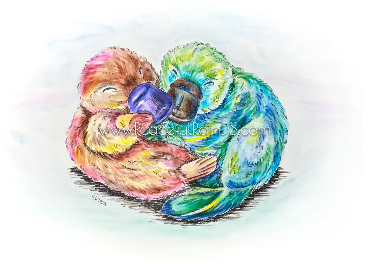 Playful Platypuses