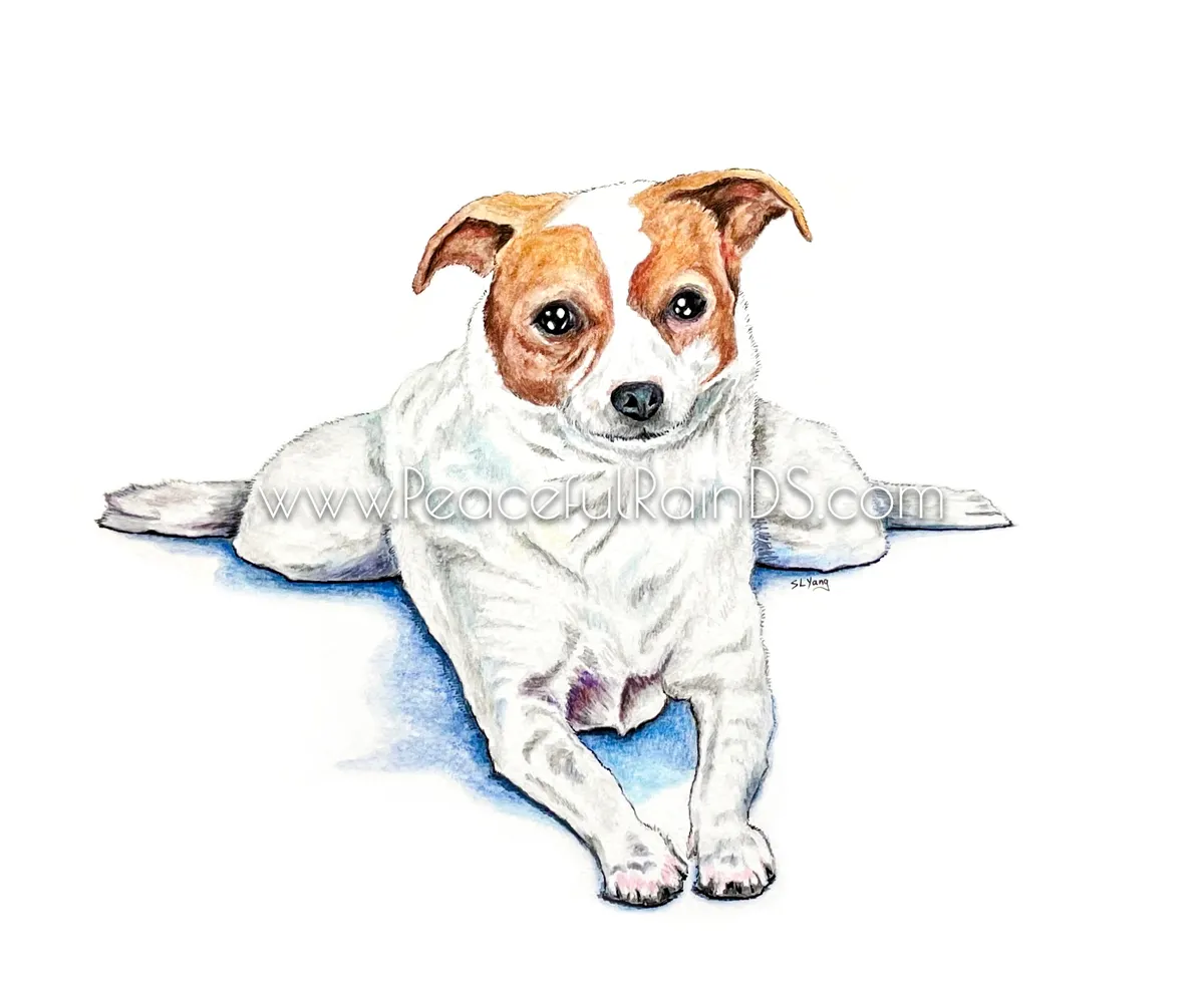 Peaceful Pup
