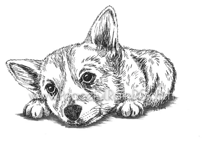 Pensive Puppy