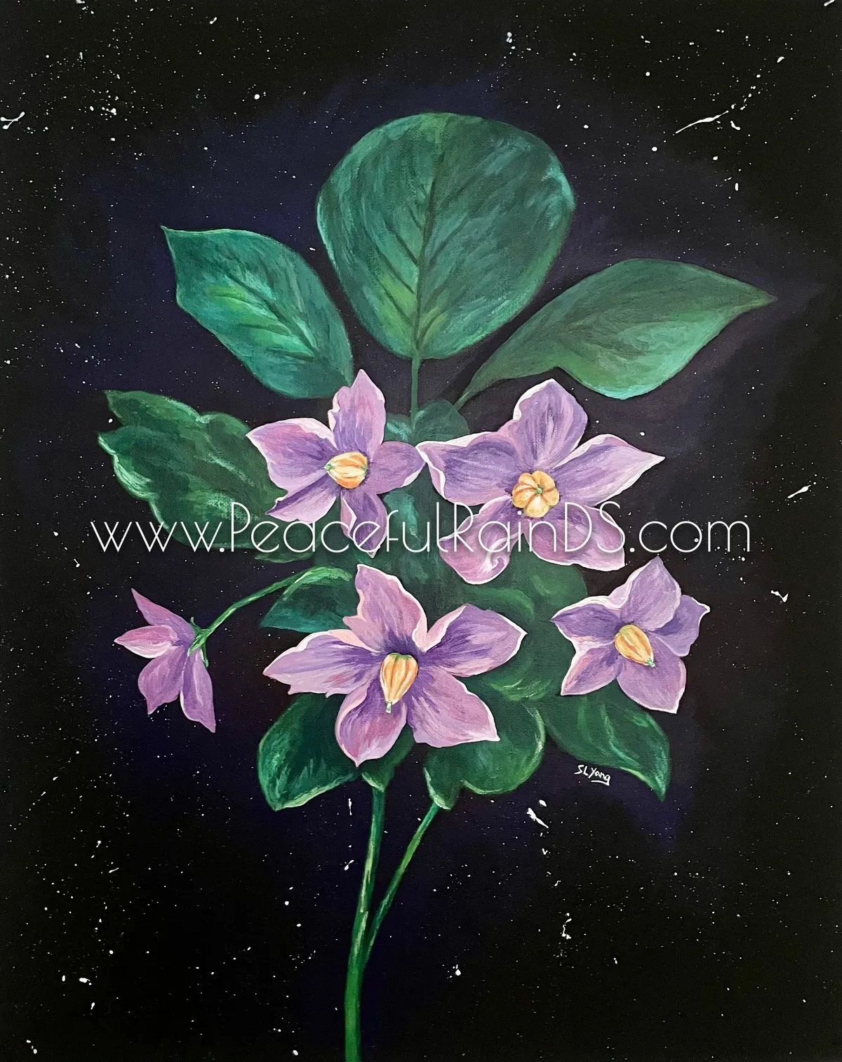 Potato Flowers
