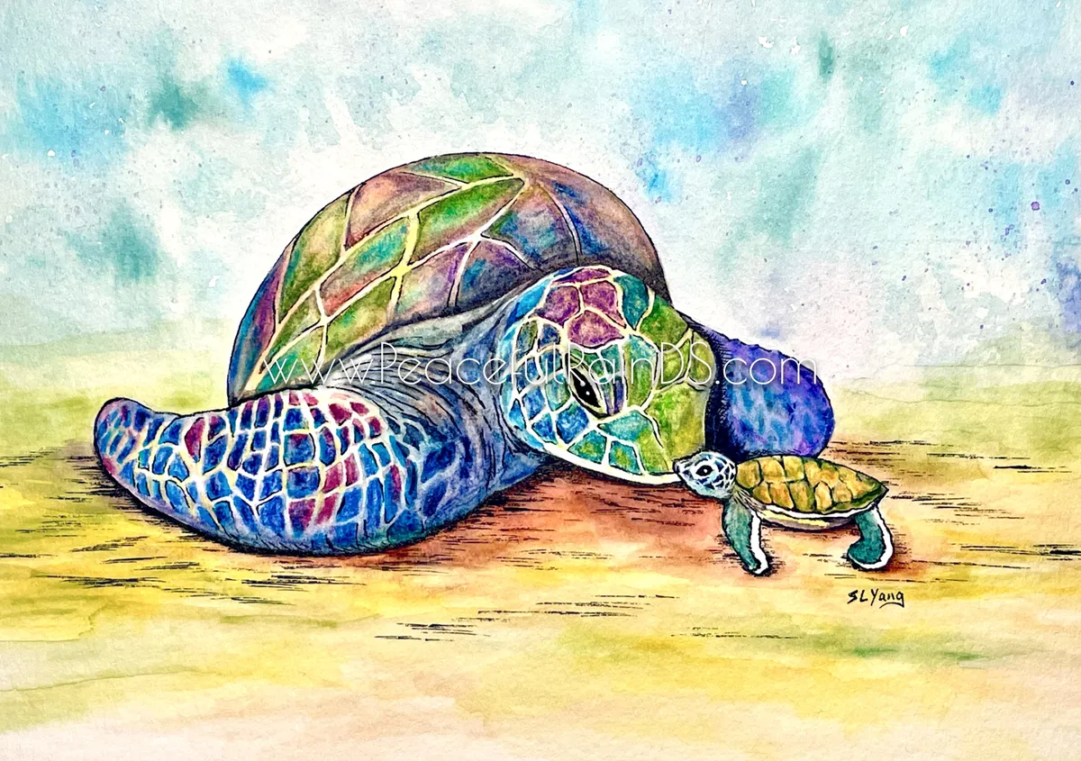 Turtle Love