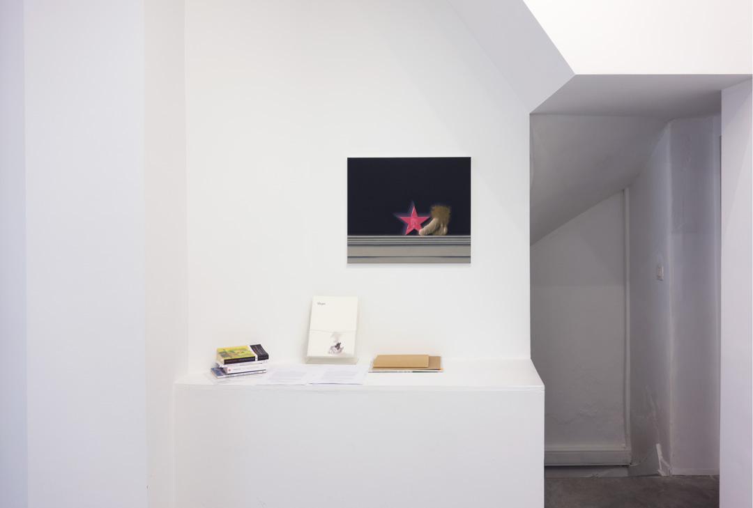 Untitled (Vénus à la fourrure)