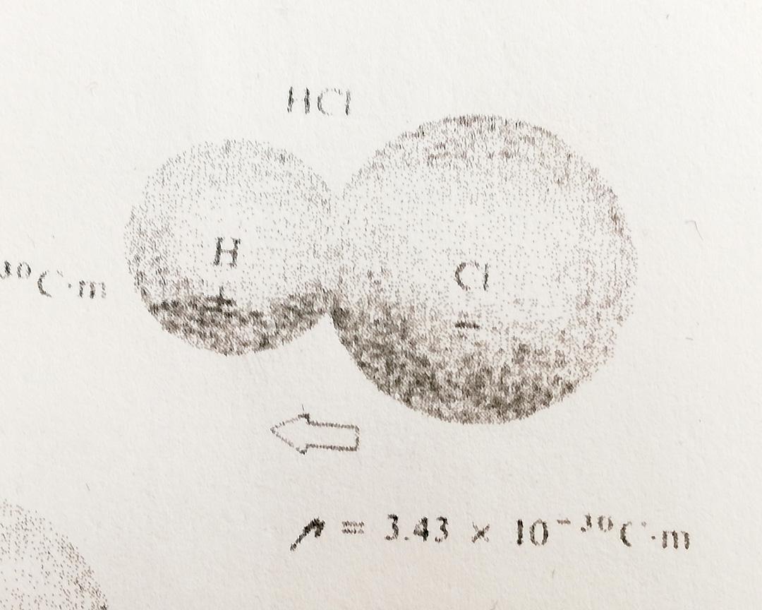 Untitled (Vénus à la fourrure)