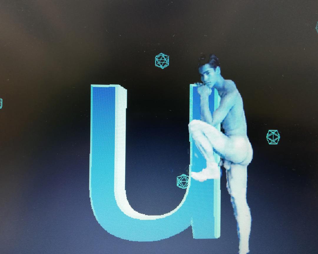 Untitled (Vénus à la fourrure)