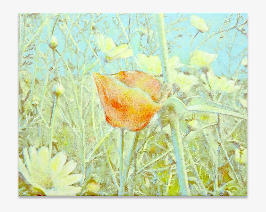 Untitled (Vénus à la fourrure)