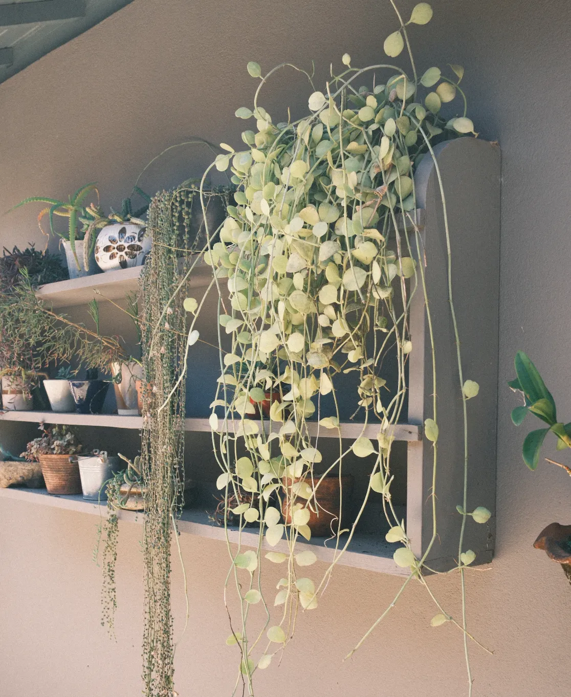 CleanShot 2025-12-25 at 08