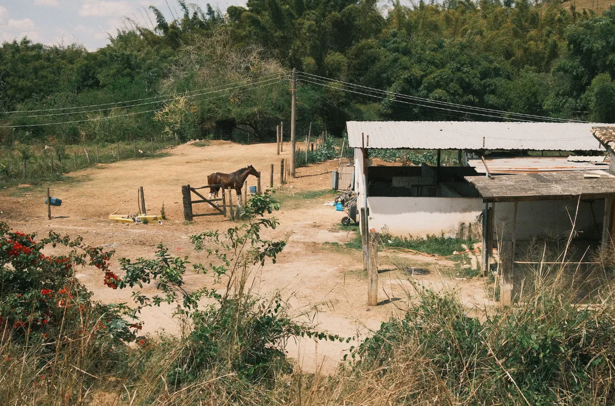 CleanShot 2025-12-24 at 15