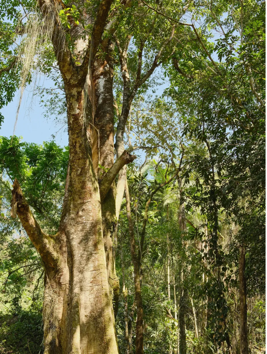 CleanShot 2025-12-25 at 08