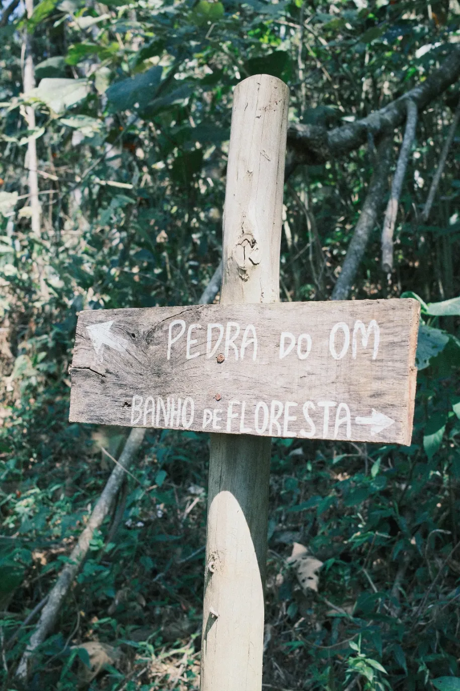 CleanShot 2025-12-25 at 08