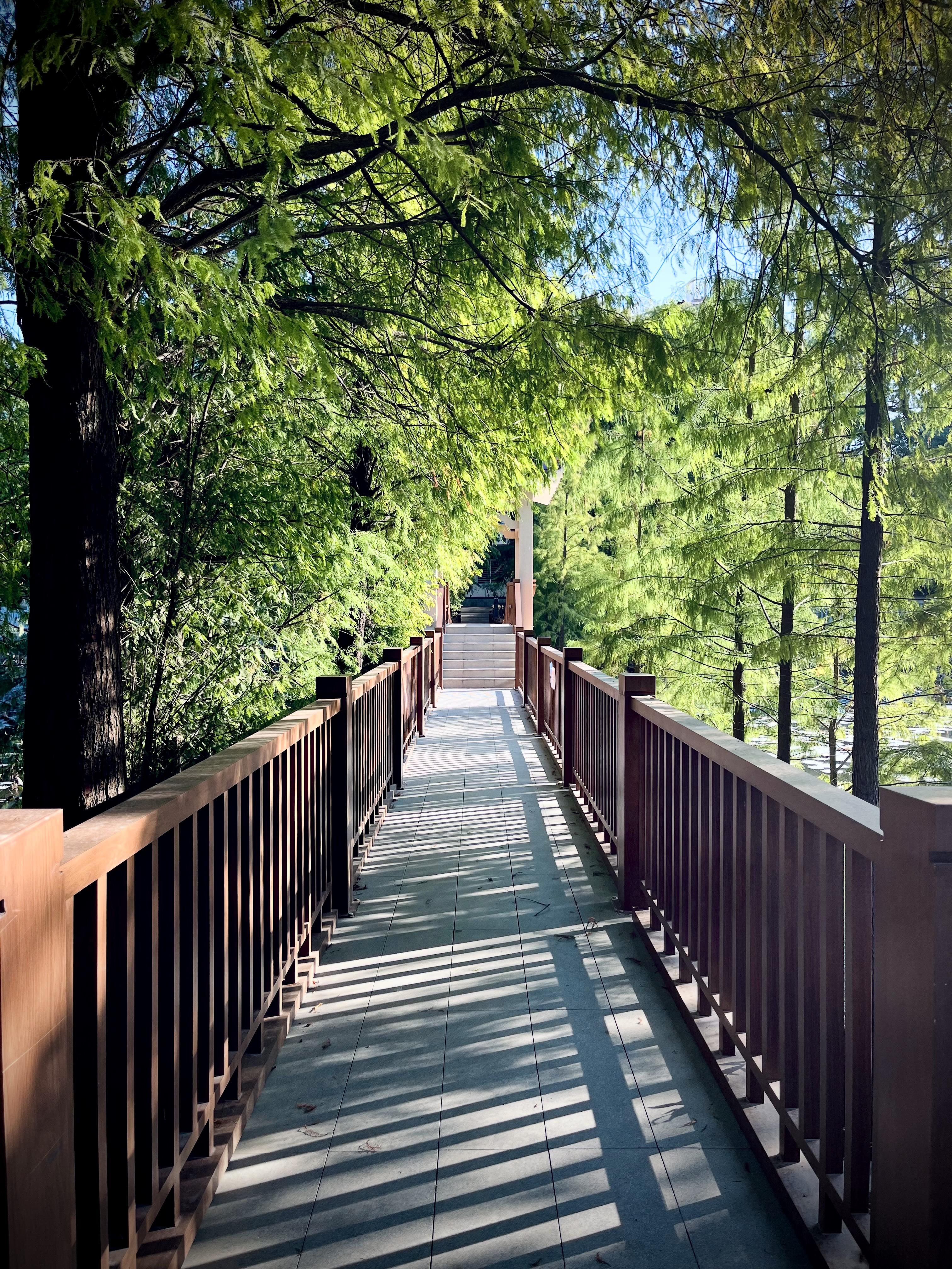 Another bridge 🌉