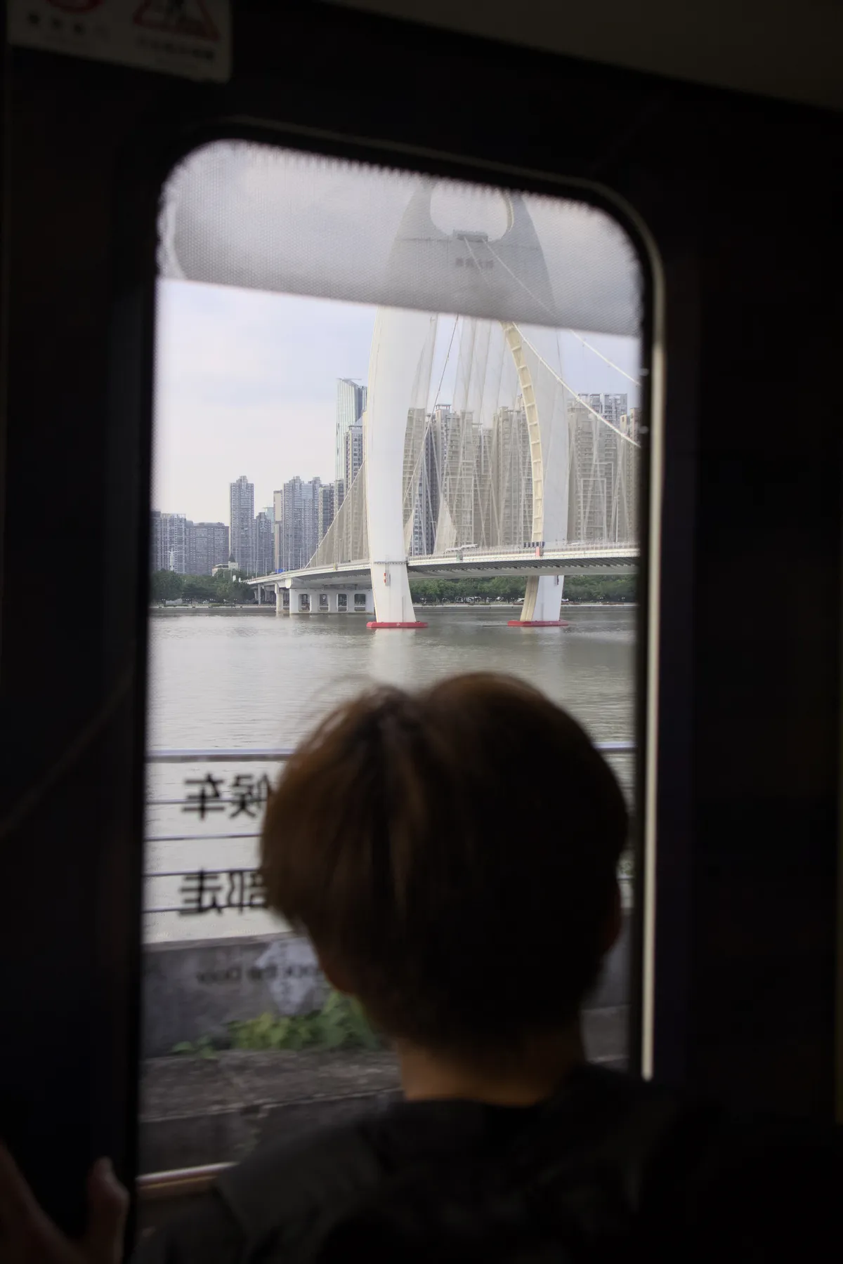 Window
