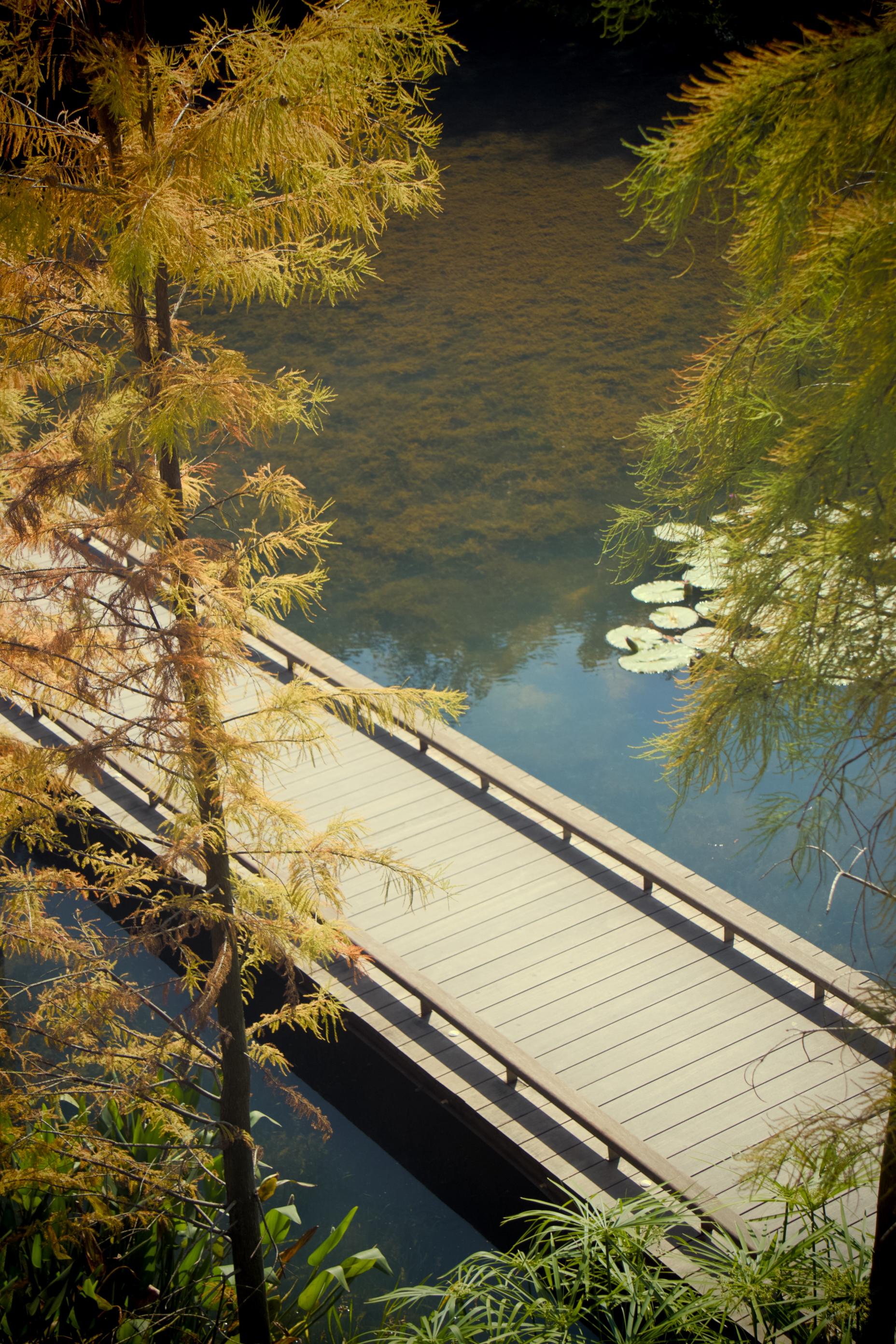 Bridge