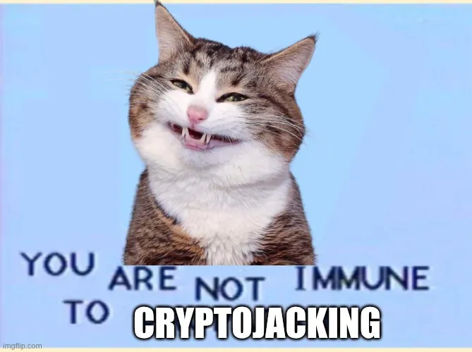 Catte says 