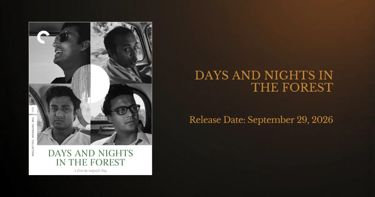 Days and Nights in the Forest