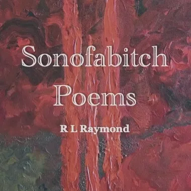 Sonofabitch Poems by R L Raymond