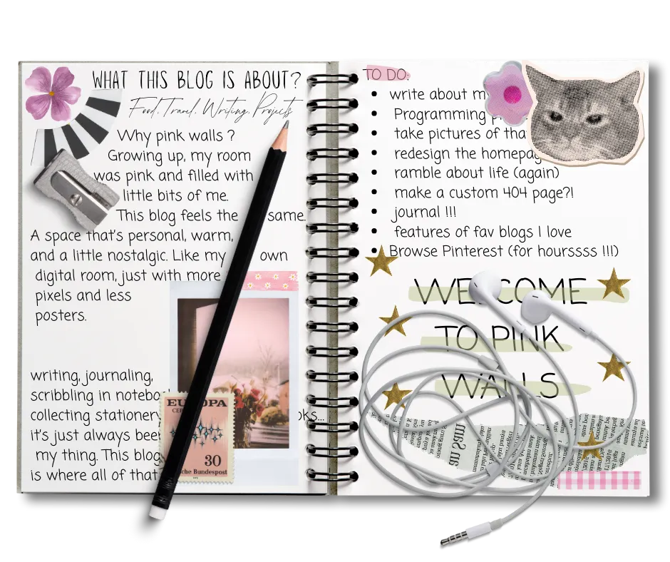 What this blog is about