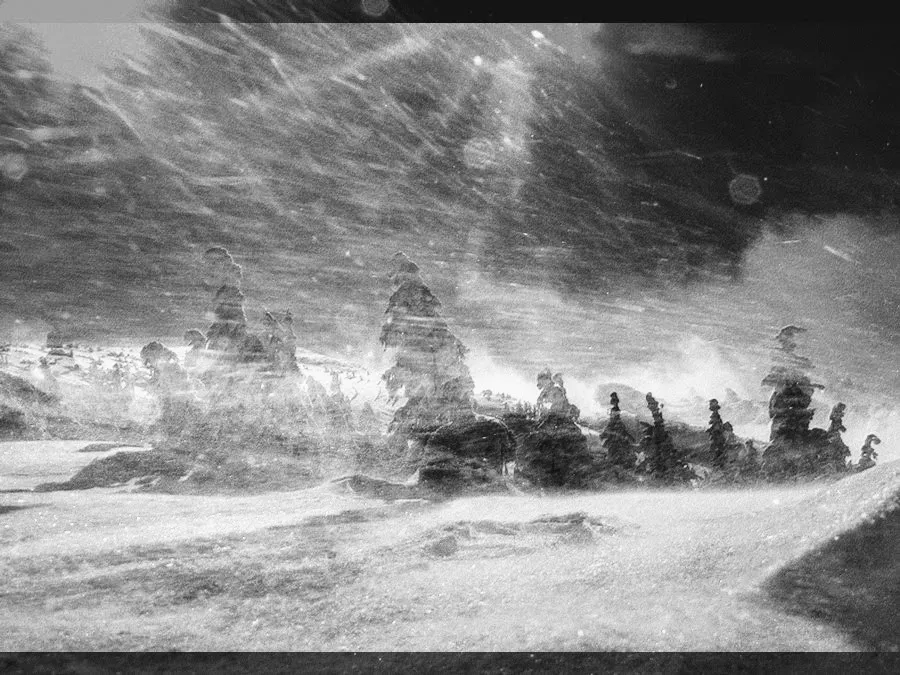 Fellowship of the Ring