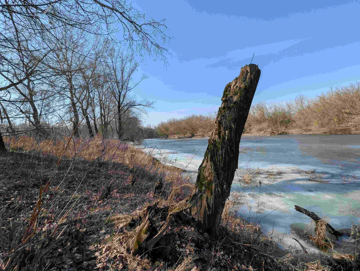 Compress_20260315_165224_4155