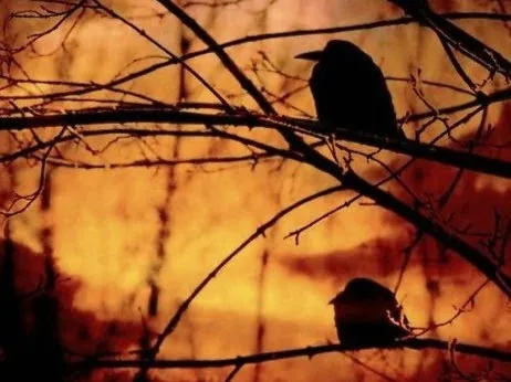 Może wiedzą coś więcej