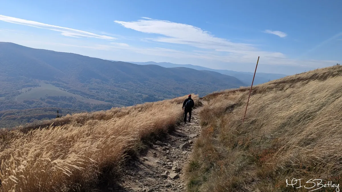 Bieszczady: Połonina Caryńska