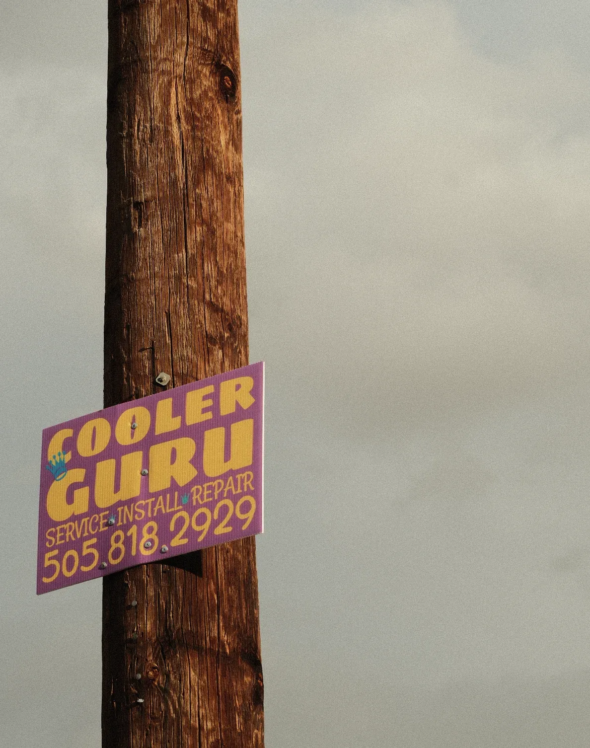 guru