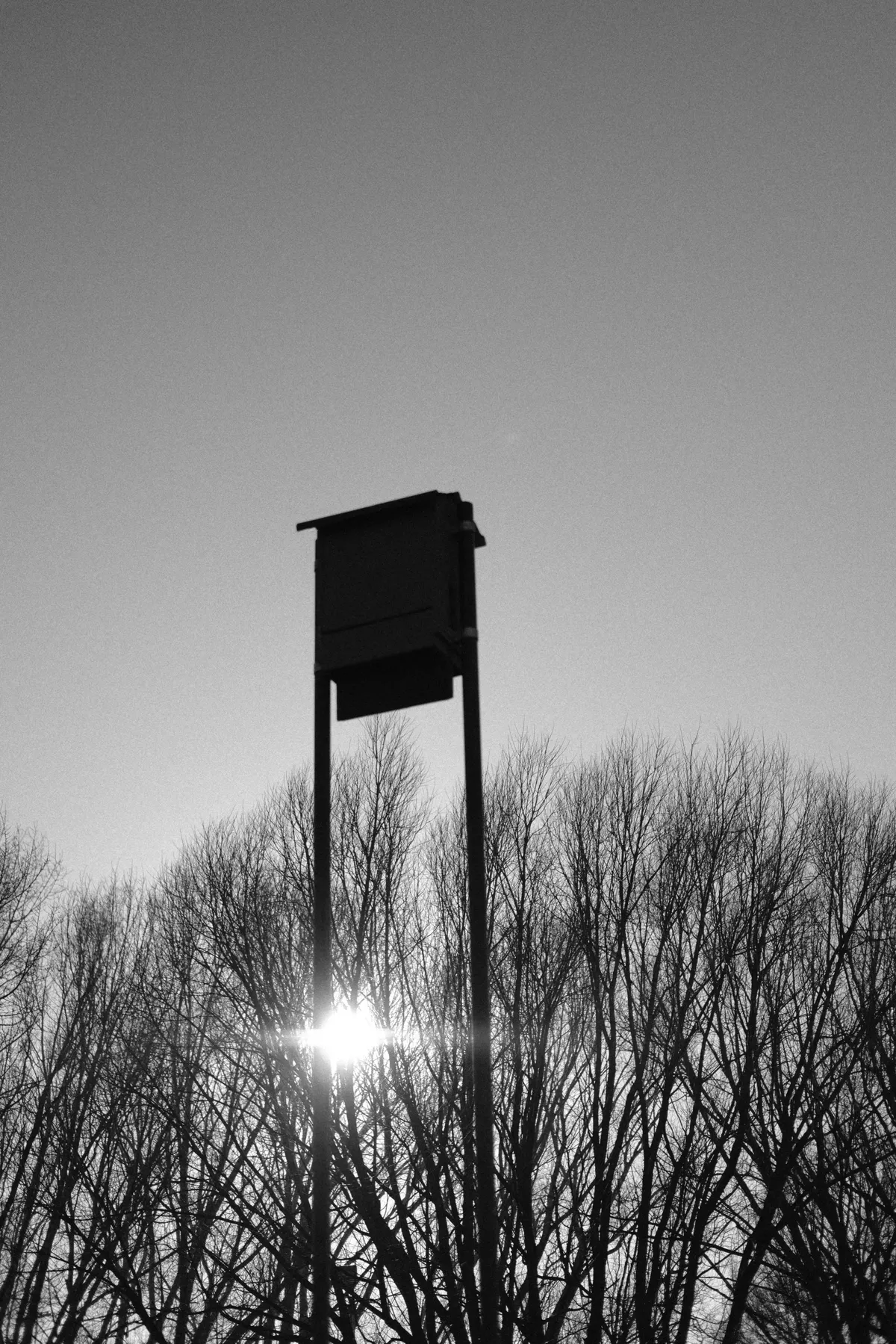 DSCF0937