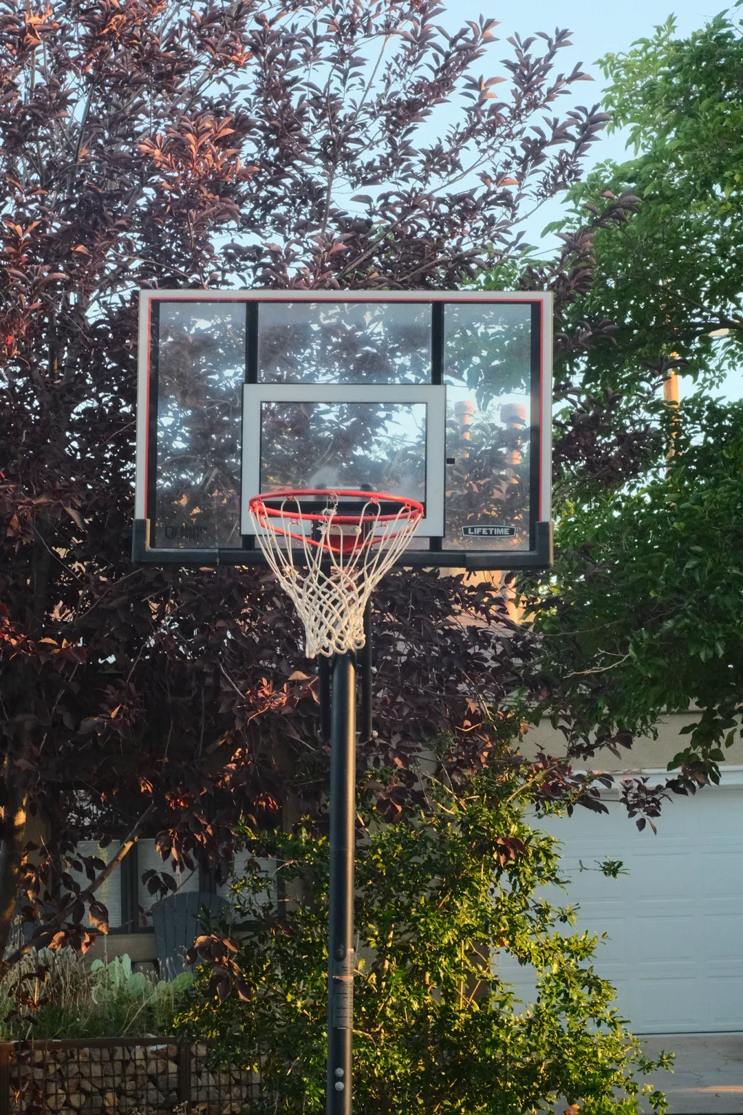 DSCF3414