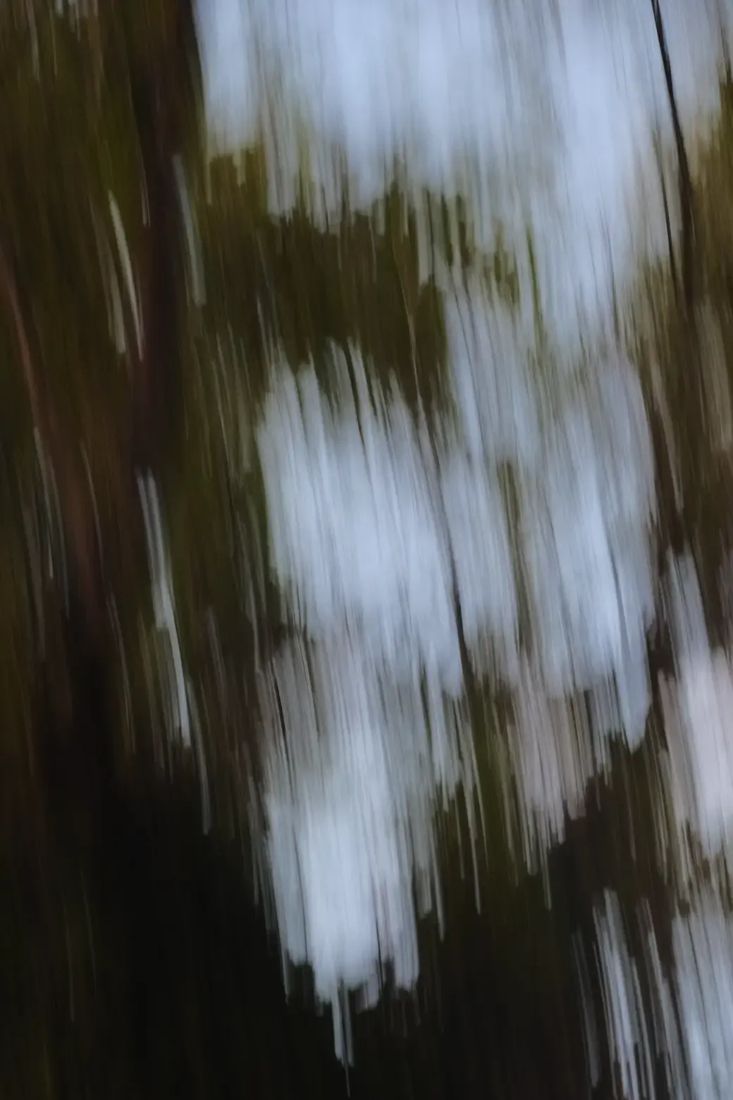 DSCF3420