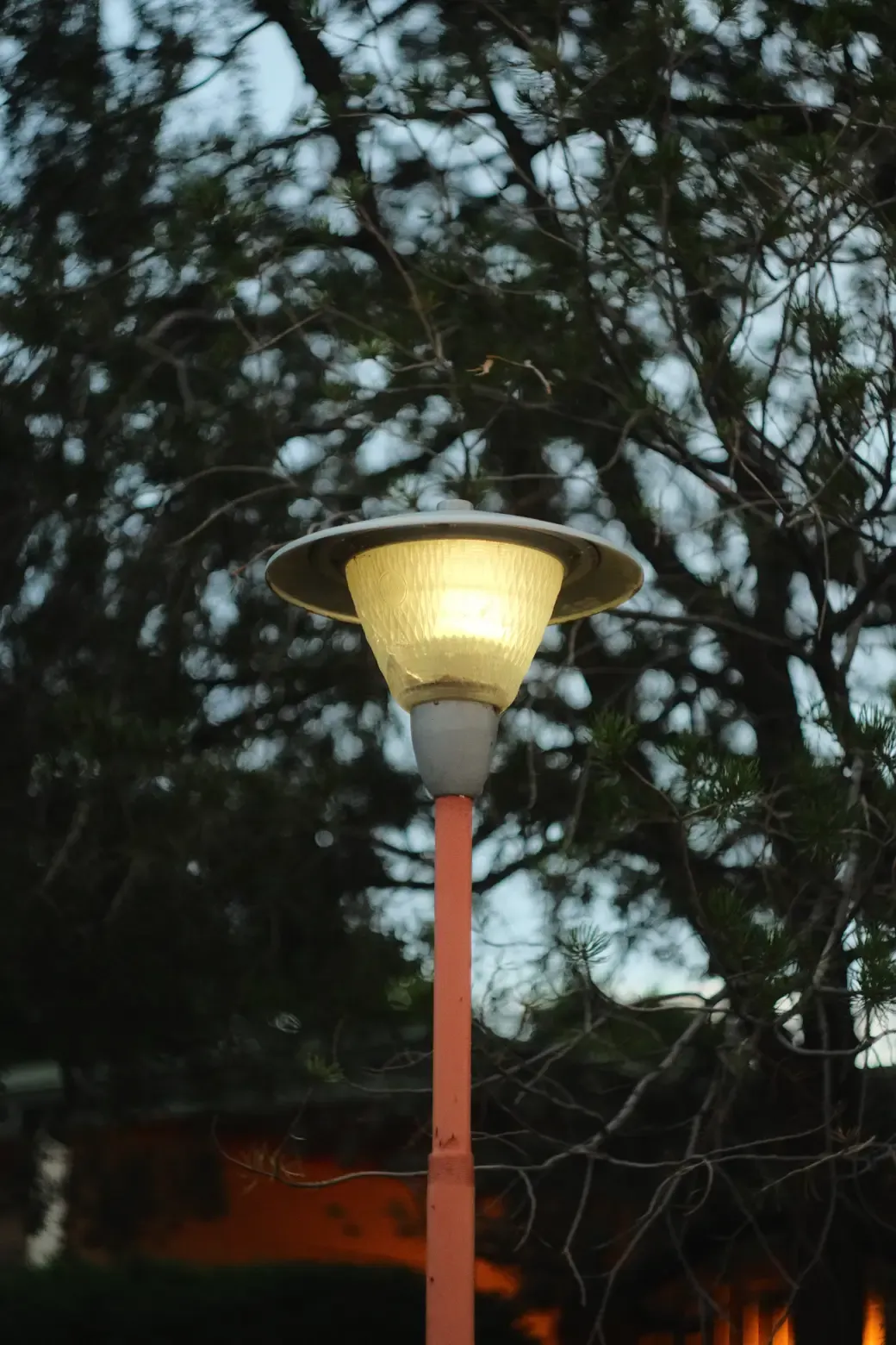 DSCF3489