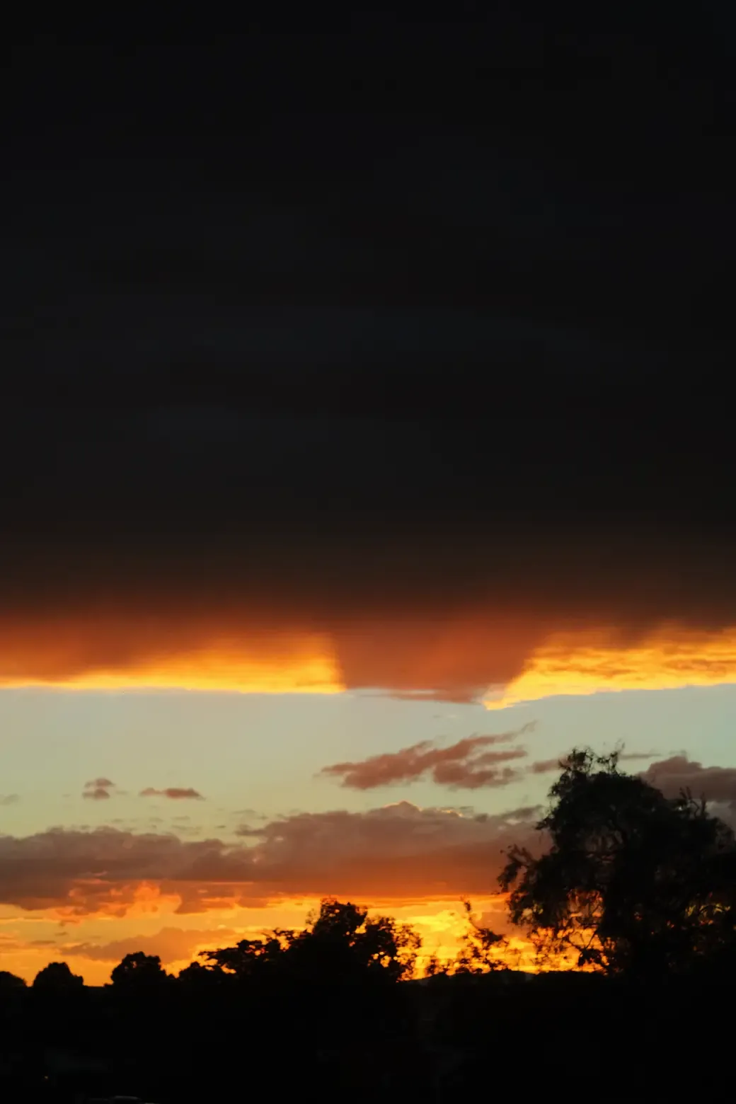 DSCF3538