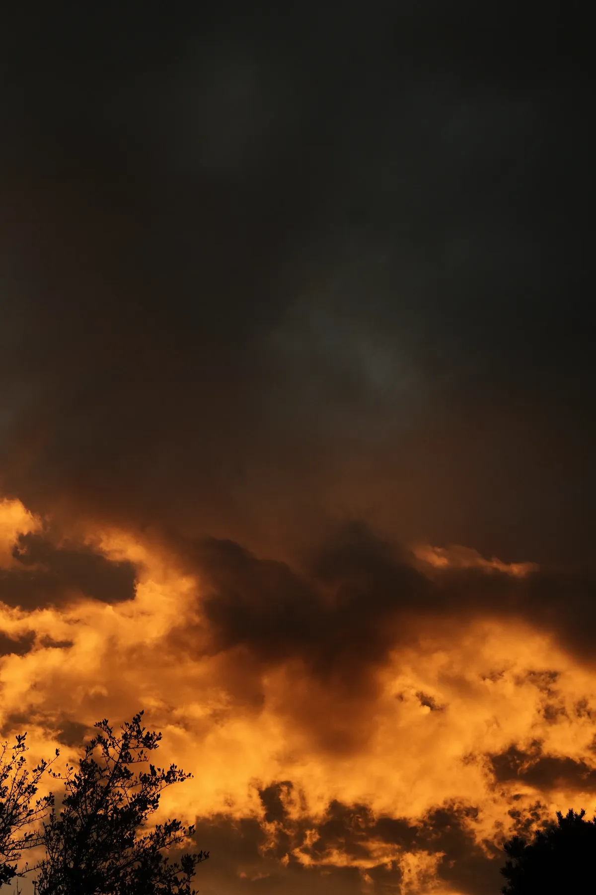 DSCF3878