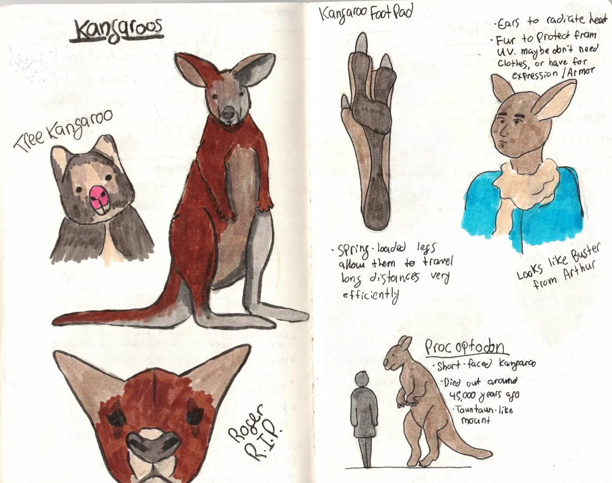 kangaroo folk idea notes_001