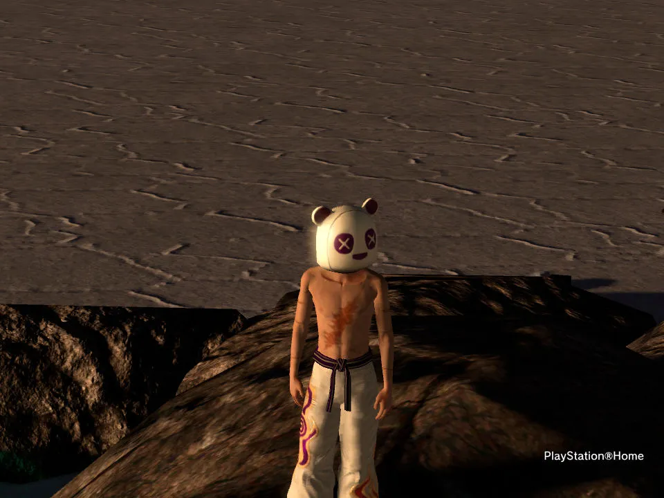 PlayStation®Home Picture 10-15-2010 20-48-18