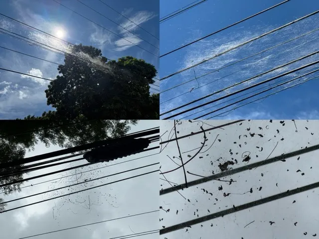 1s3bvt6rzw5tr Medium