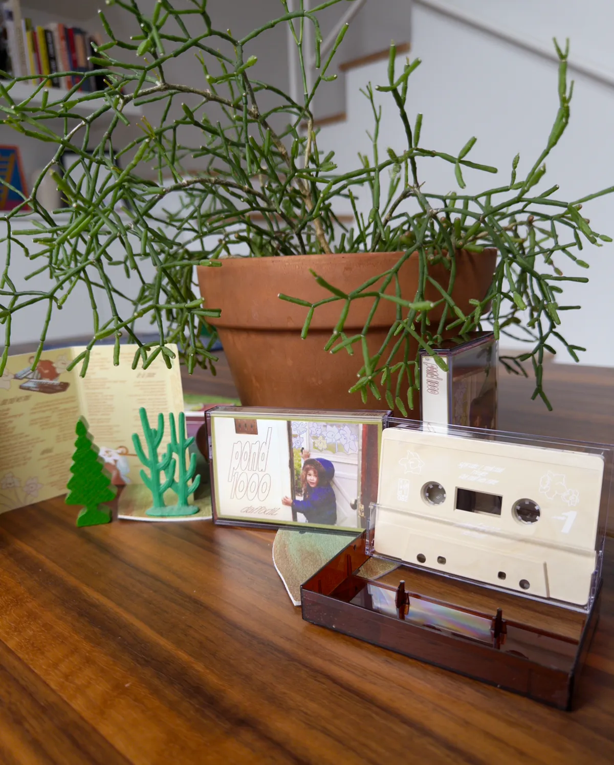 Sad Cactus Tape Display