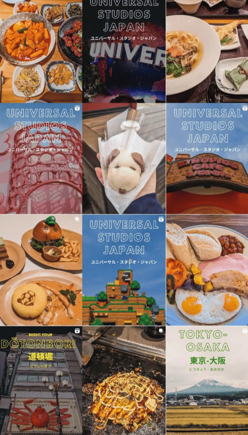 A crop showing 12 posts that display a rotating pattern of an image post and a video post.